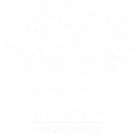 Ashoka gemeinnützige GmbH