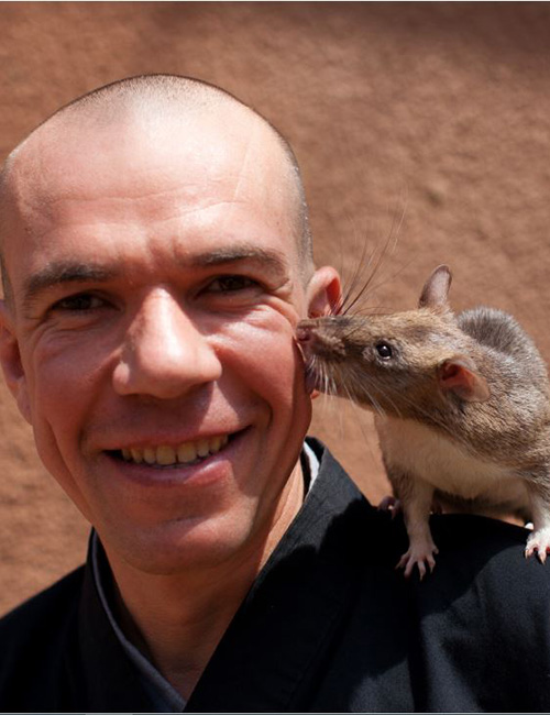 portrait of Ashoka Fellow Bart Weetjens, with one his HeroRats sitting on his right shoulder